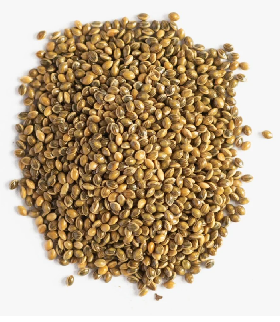 Green Proso Millet